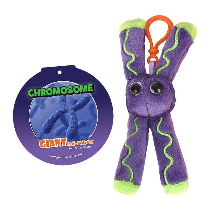 Chromosome key chain with tag