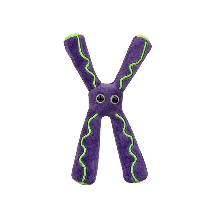 Chromosome plush front