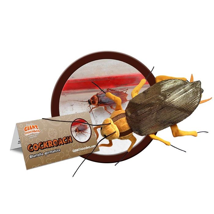 Cockroach plush cluster