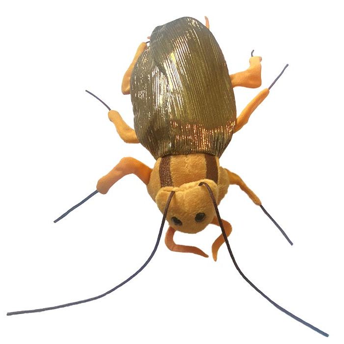 Cockroach plush front new