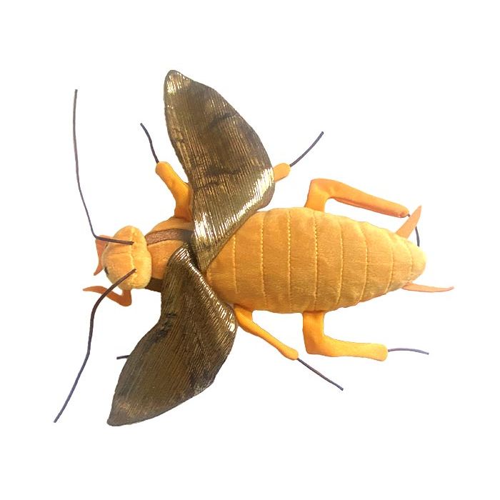 Cockroach plush open wings