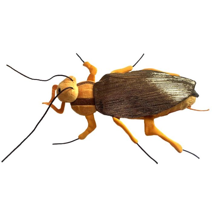 Cockroach plush top new
