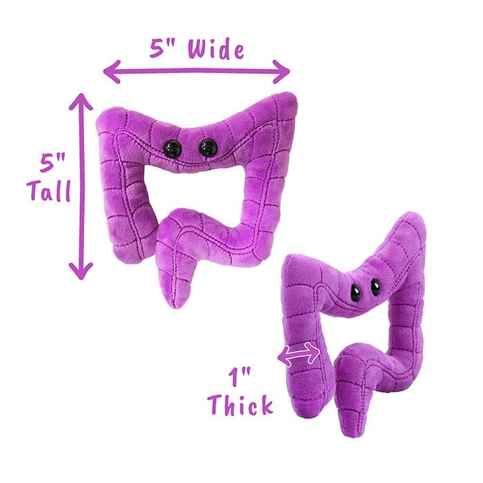 Colon plush dimensions