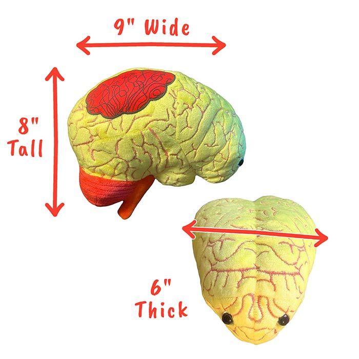 Deluxe Anxiety dimensions