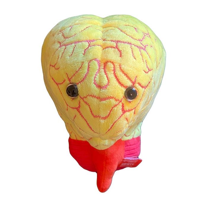 Deluxe Anxiety plush front