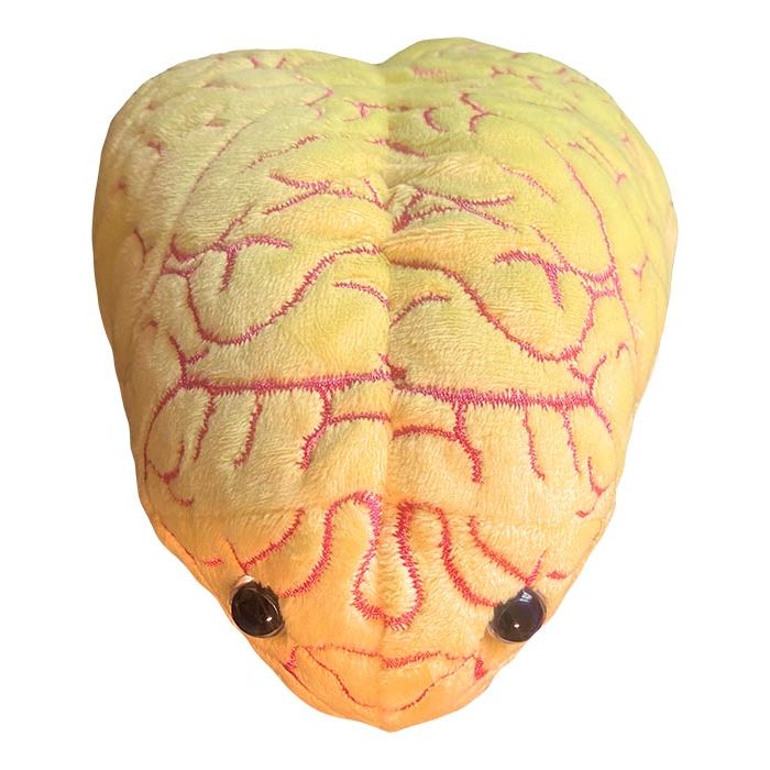 Deluxe Anxiety plush top