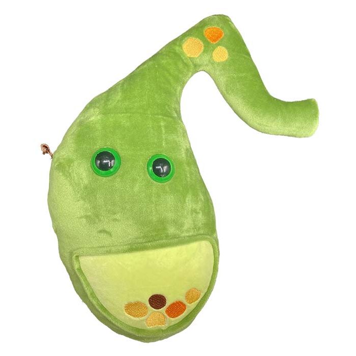 Deluxe Gallbladder plush front view