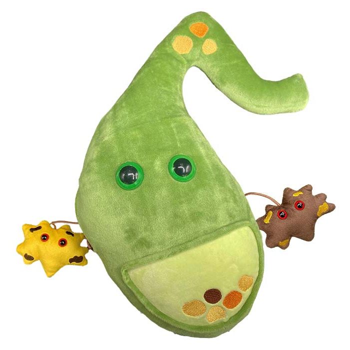 Deluxe Gallbladder plush with minis