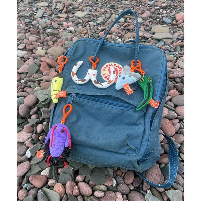 Fuzzy Fossils backpack on rocks