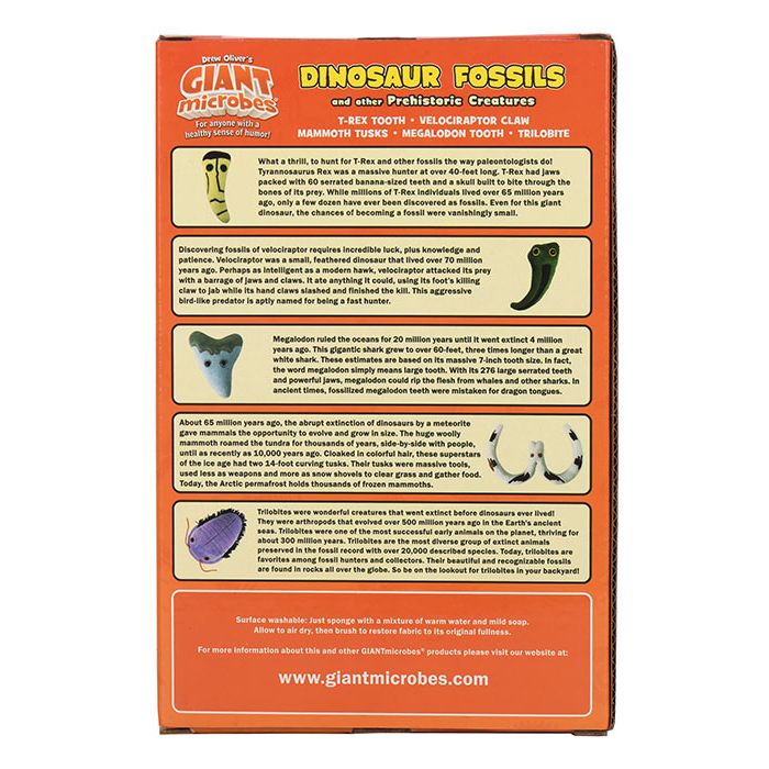Dinosaur Fossils box back