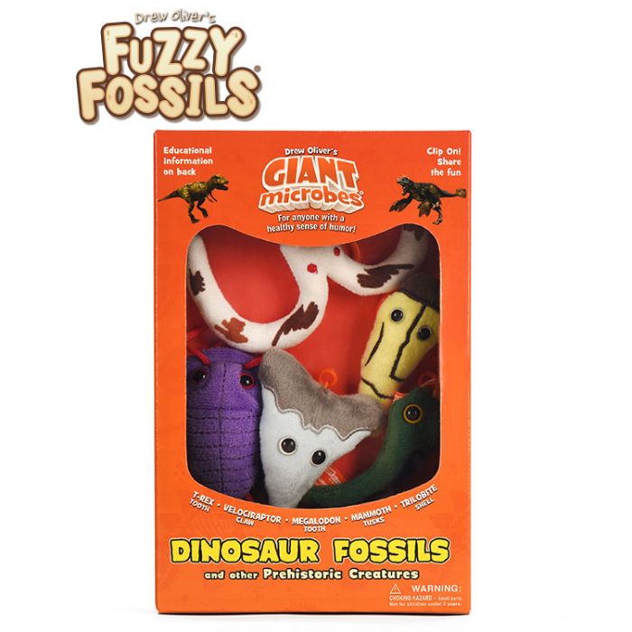 Dinosaur Fossils gift box front FF logo