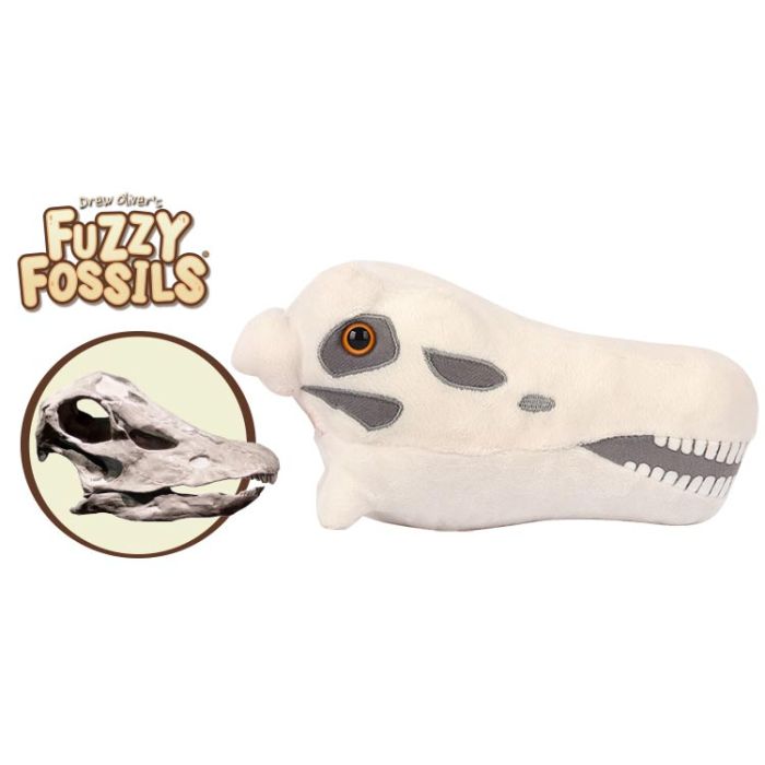 Diplodocus skull cluster