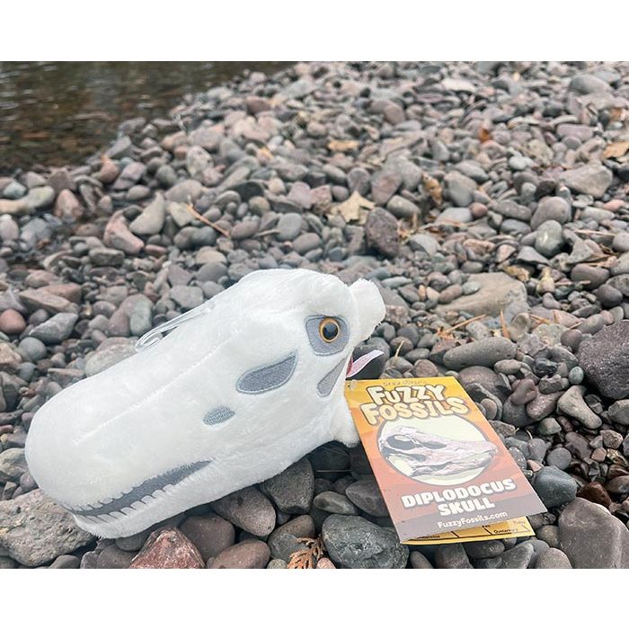 Diplodocus skull on rocks