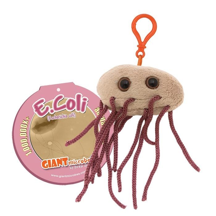 E. coli key chain with tag