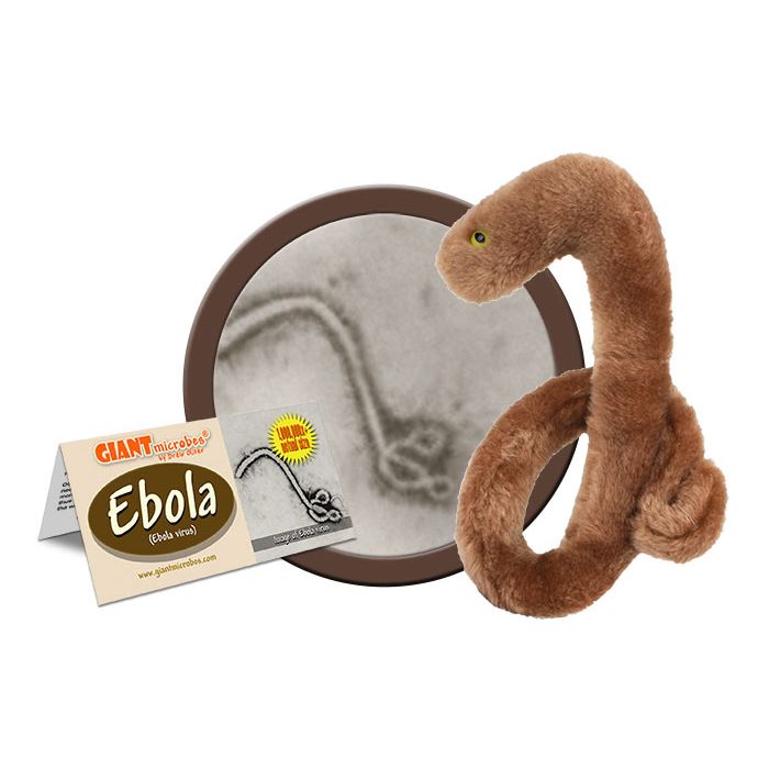Ebola plush cluster