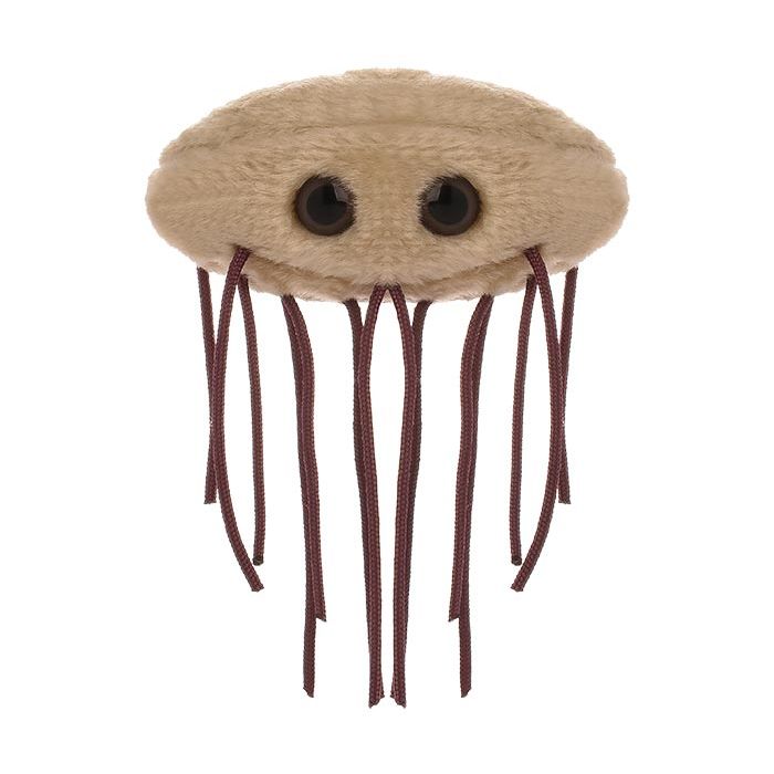 E. coli plush front