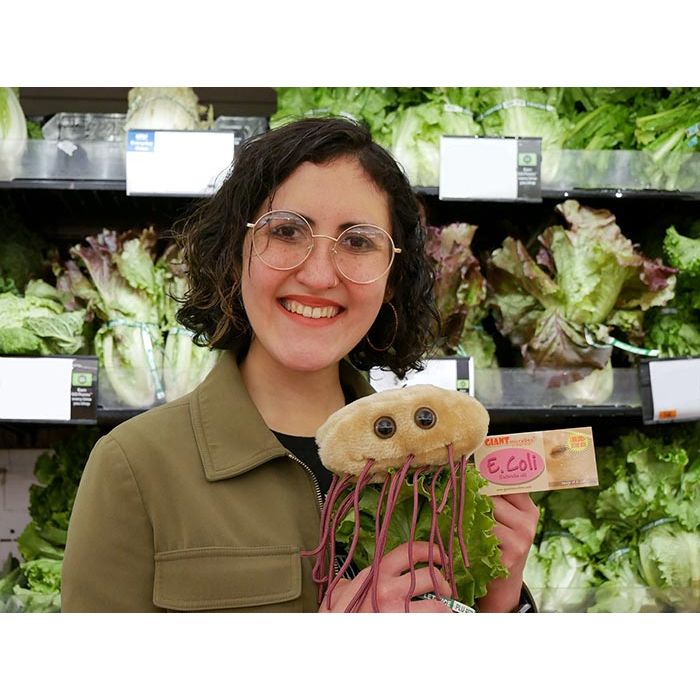E. coli lettuce in store