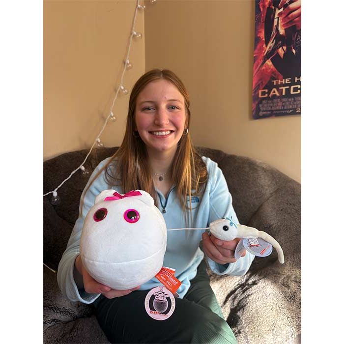 Egg Cell and Sperm with model