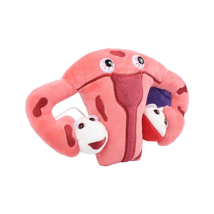 Endometriosis plush angle