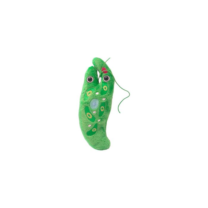 Euglena plush doll