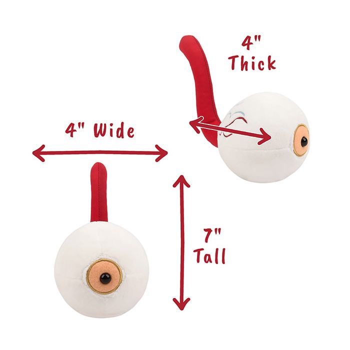 Eye plush dimensions