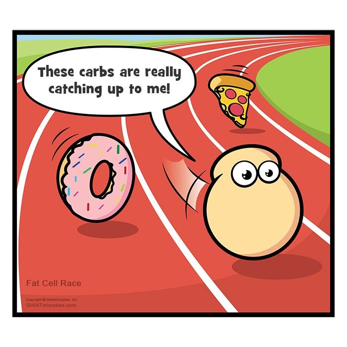 Fat Cell cartoon