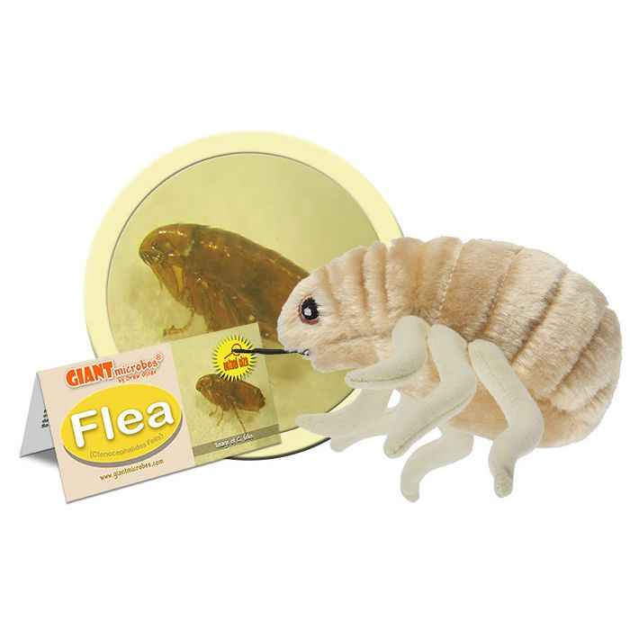 Flea plush cluster