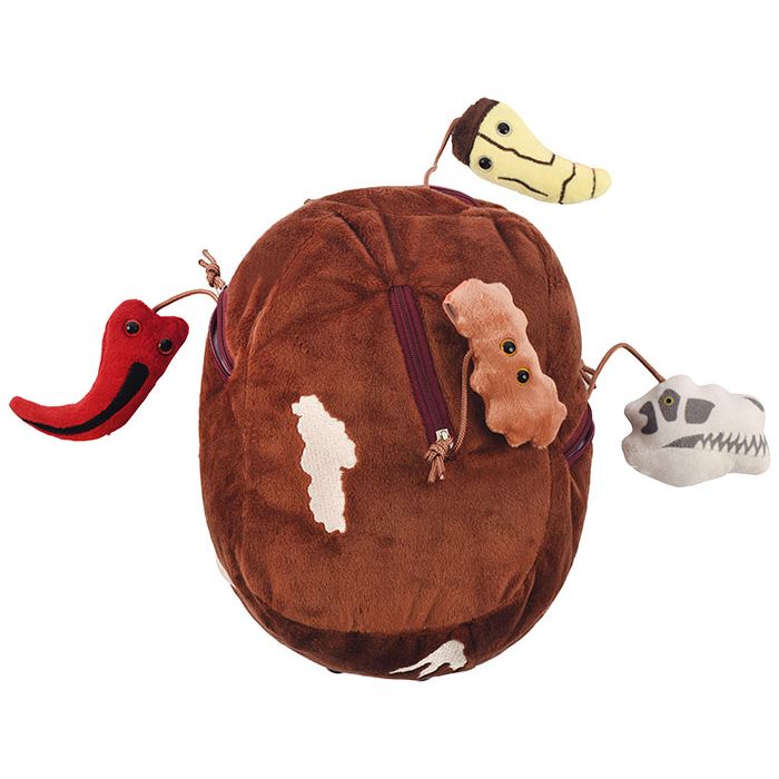 T. rex fossil dig plush bottom