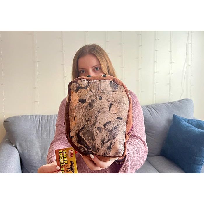 Fossil dig top in hand