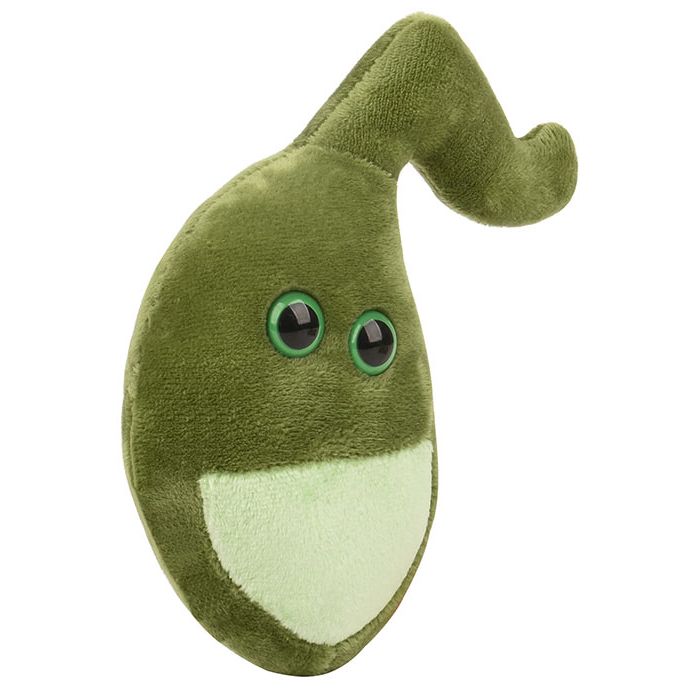Gallbladder plush angle