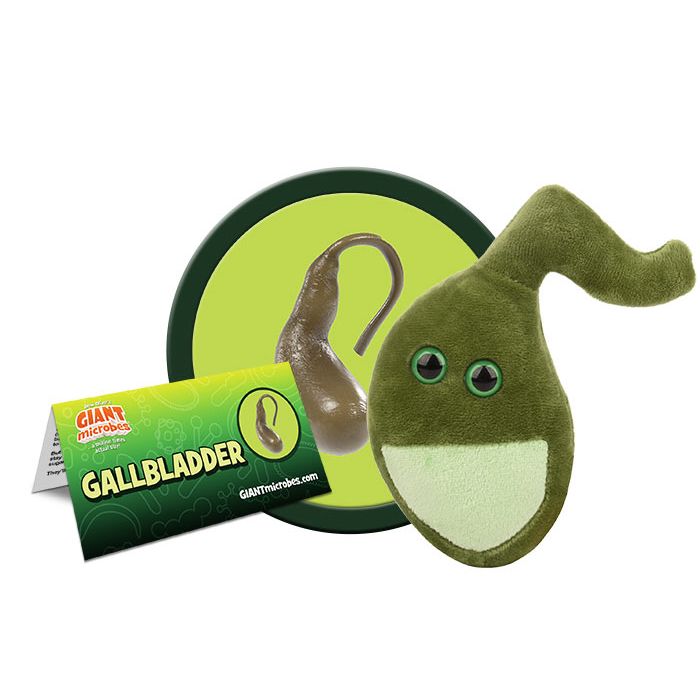 Gallbladder plush cluster