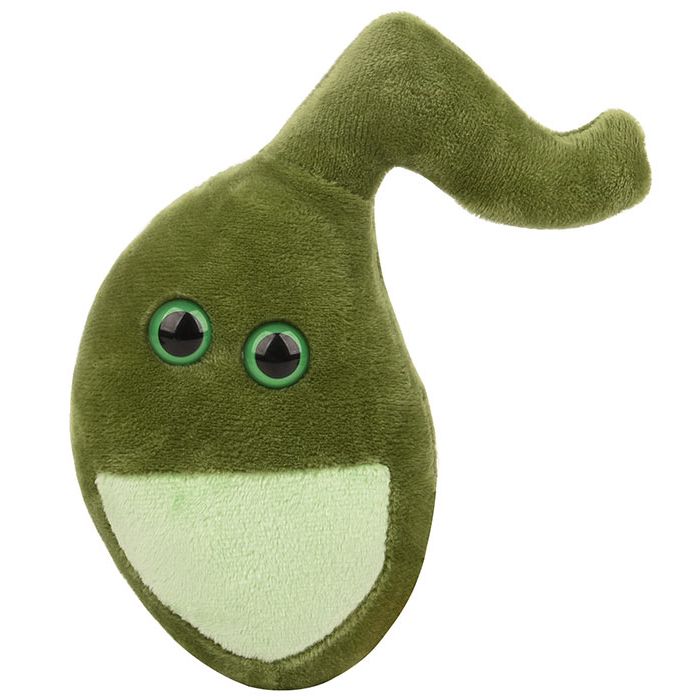 Gallbladder plush doll