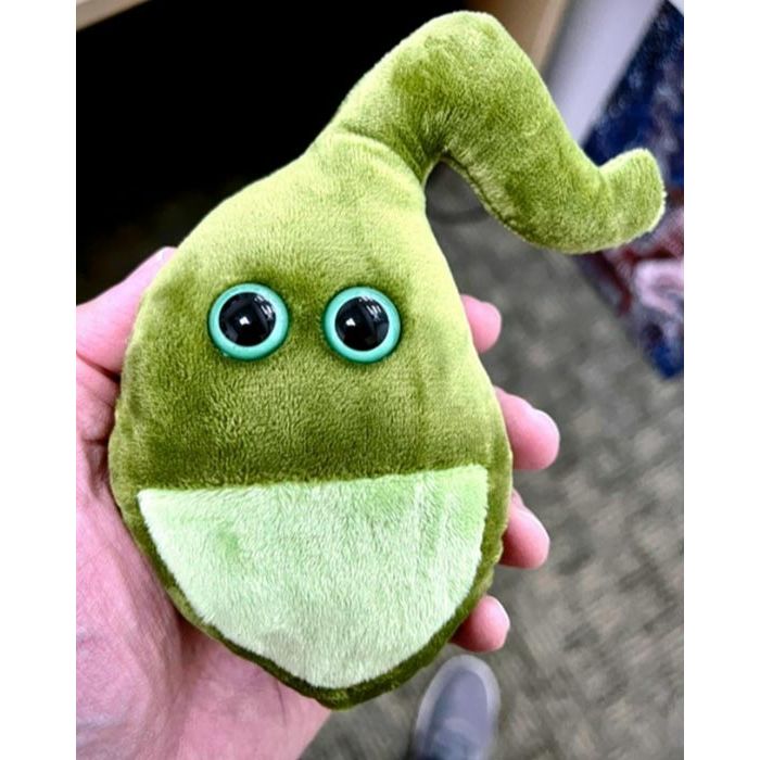 Gallbladder in hand