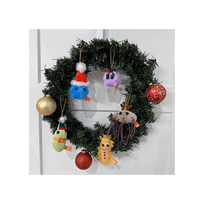 Germ ornaments on wreath