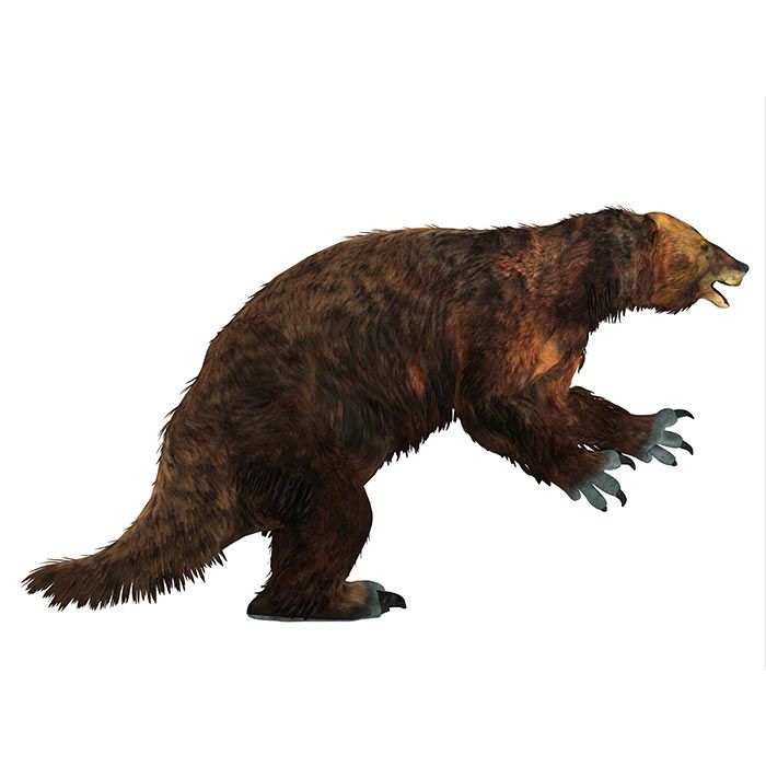 Ground Sloth dinosaur