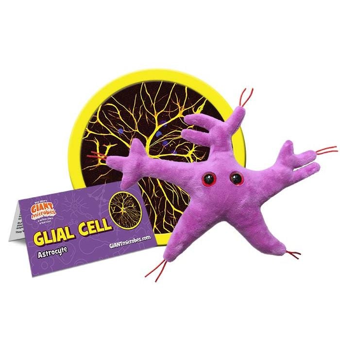 Glial Cell cluster