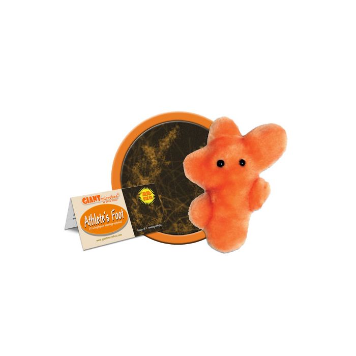 Athlete's Foot cluster