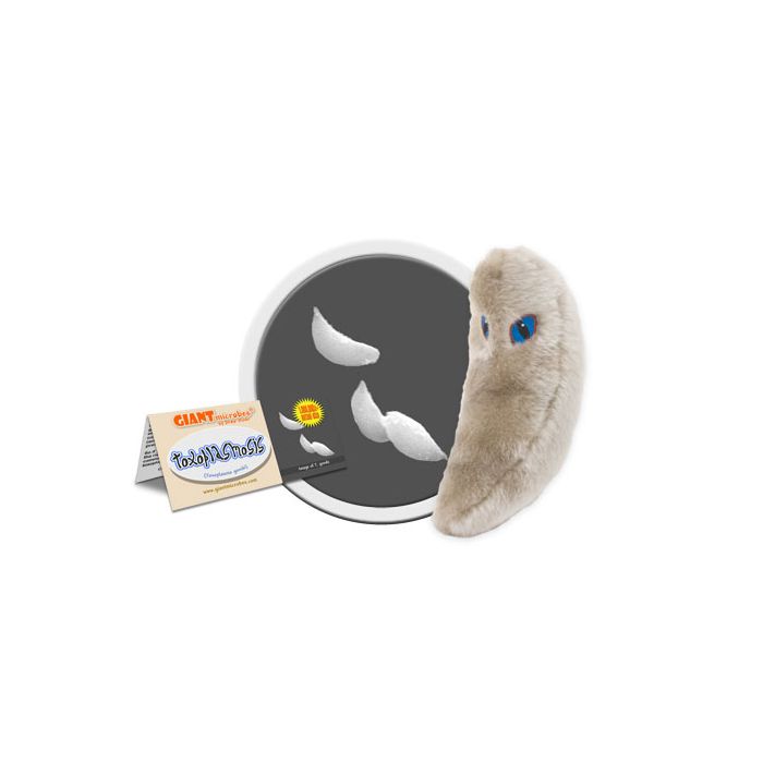 Toxoplasmosis cluster