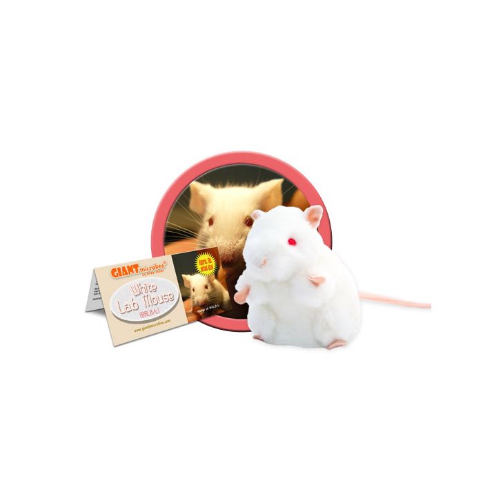 White Lab Mouse cluster