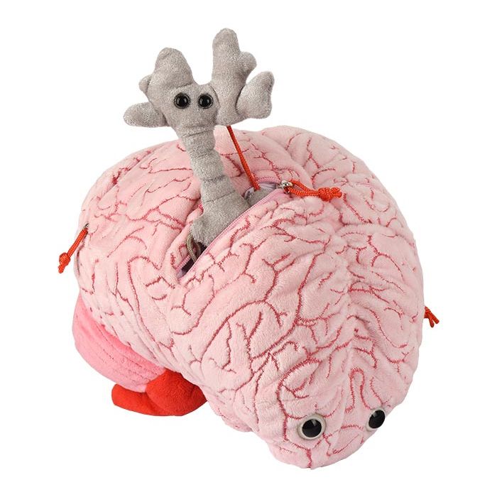 XL Brain Neuron mini