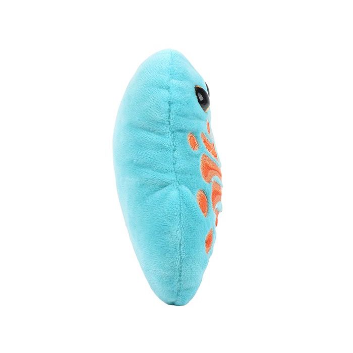 Golgi plush side