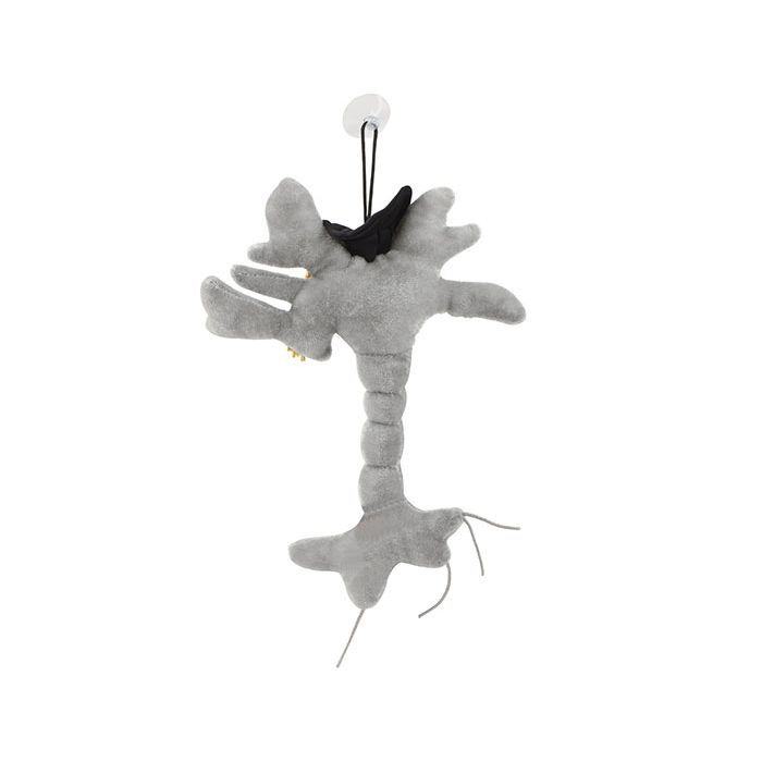 Graduation Brain Cell plush back
