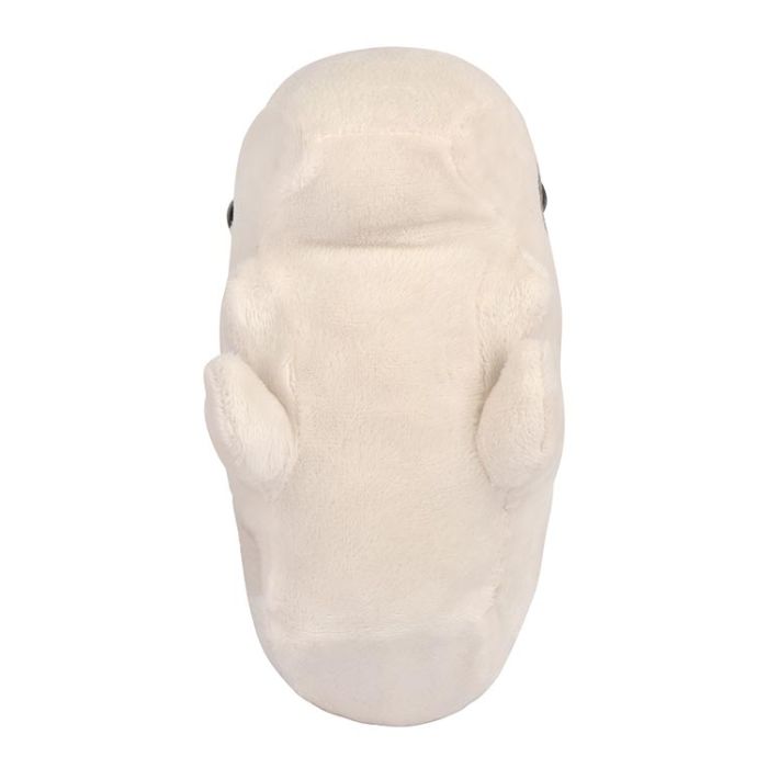 Ground Sloth plush back