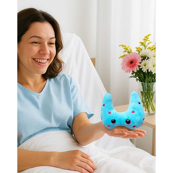 Hashimoto's plush with patient