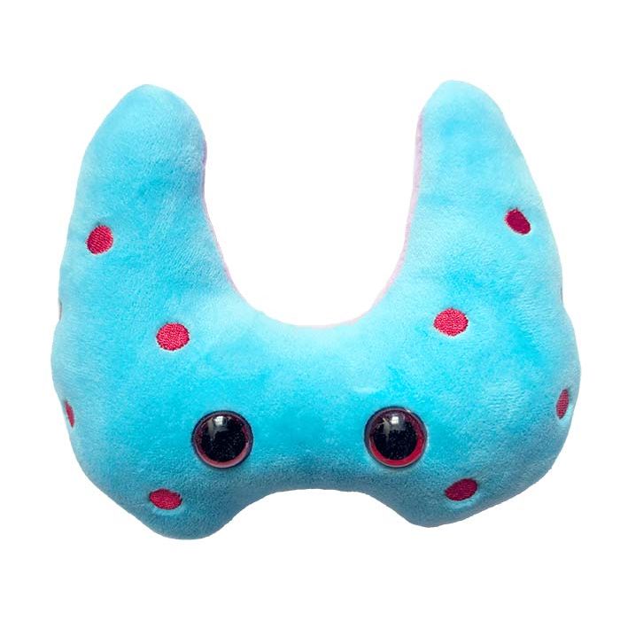 Hashimoto's plush front