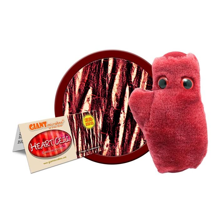 Heart Cell plush cluster