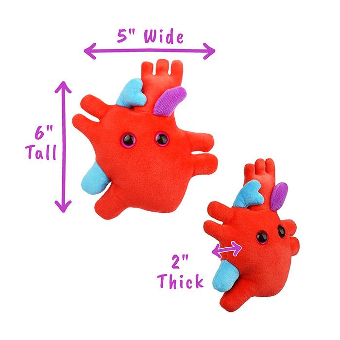 Heart plush dimensions