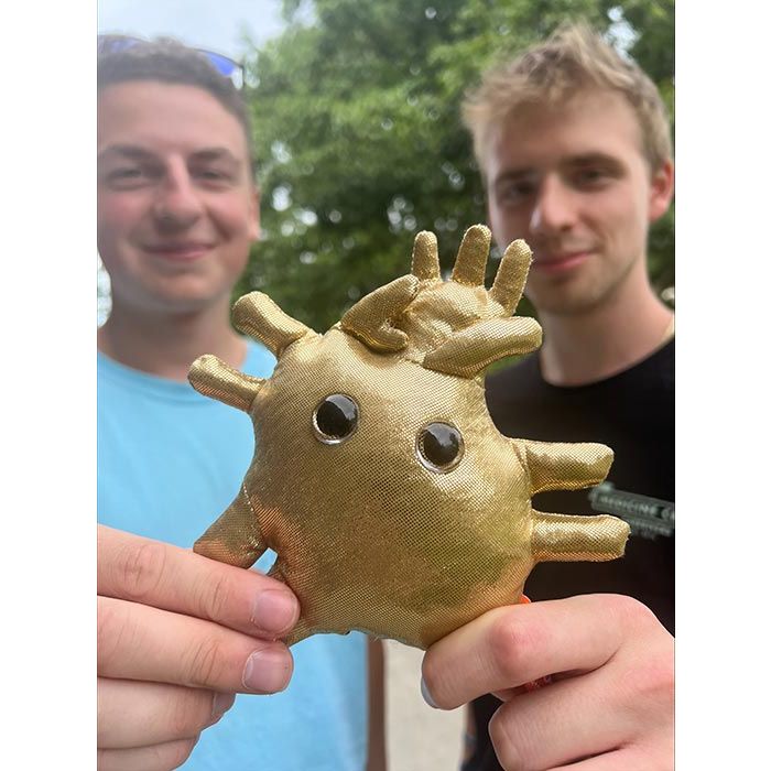 Heart of Gold two friends