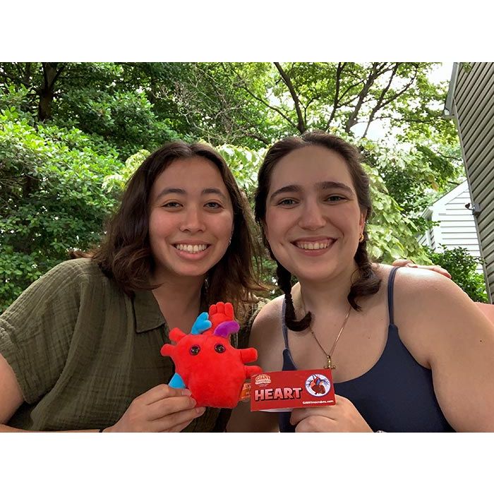 Heart plush with friends