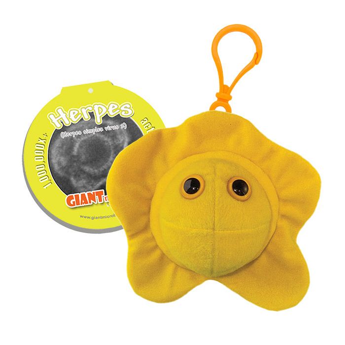 Herpes key chain